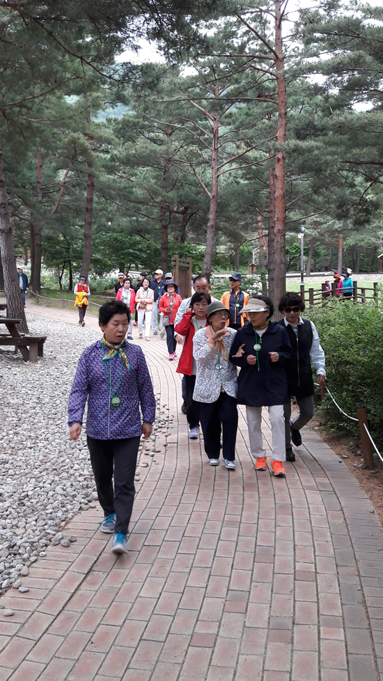 Arboretum_Kumdong_1495367525070.jpg